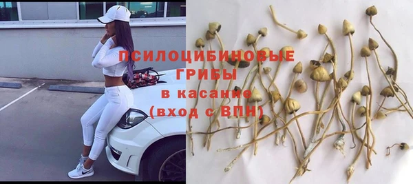 меф Алексин