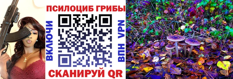 Галлюциногенные грибы мицелий  Берёзовский 